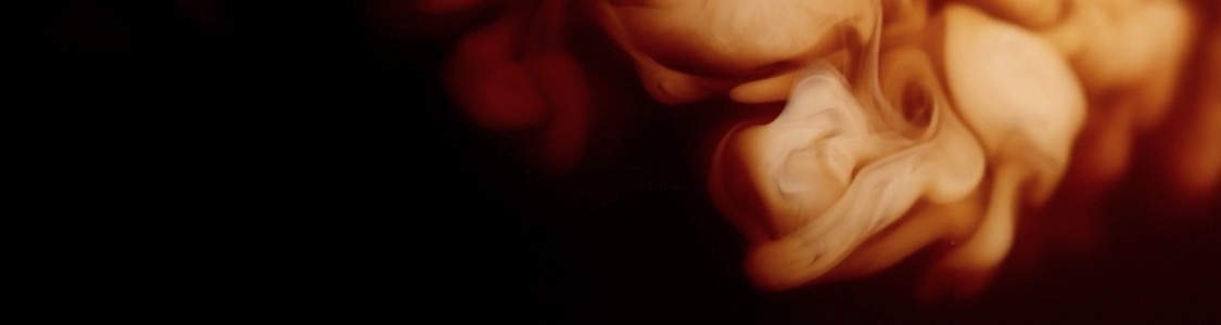 KÁVA S MLIEKOM banner