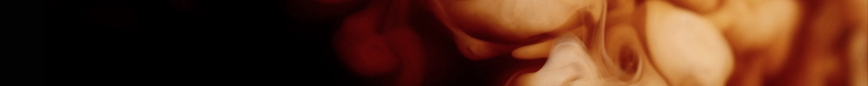 VÝHODNÁ BALENIA banner