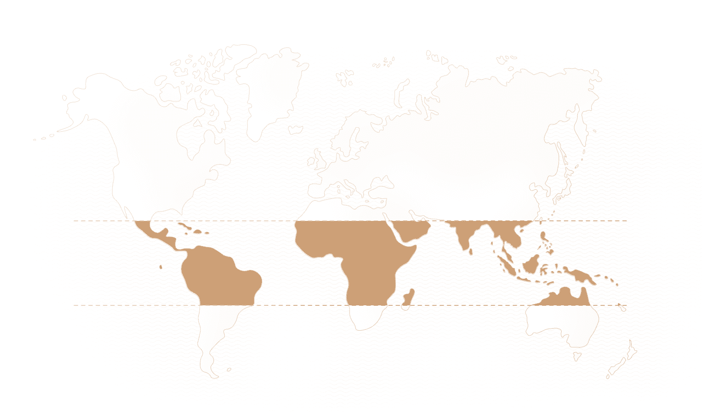 Map Map