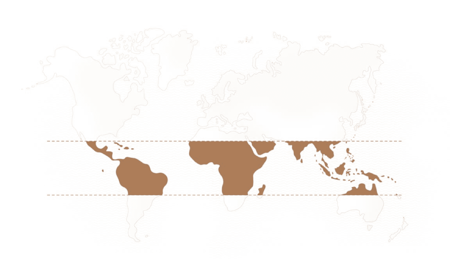 Map Map