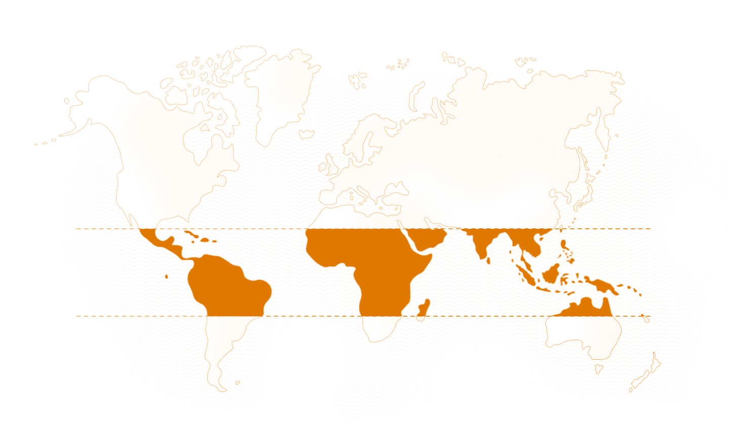 Map Map