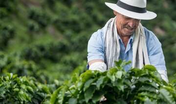 farmer 1 farmer 1