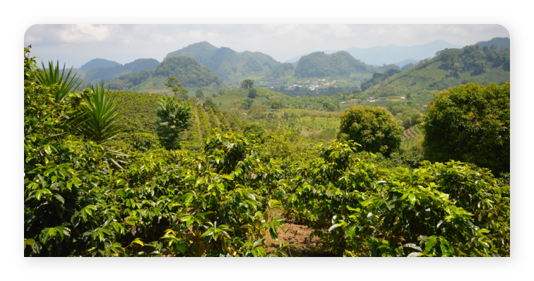 Honduras