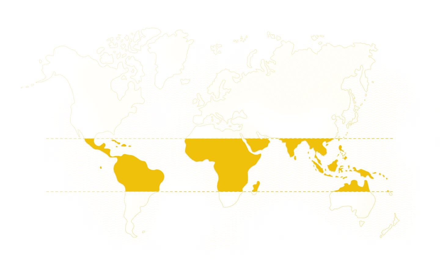 Map Map